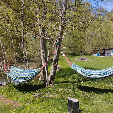 Complex Adela Transfagarasan Villa Cîrţişoara