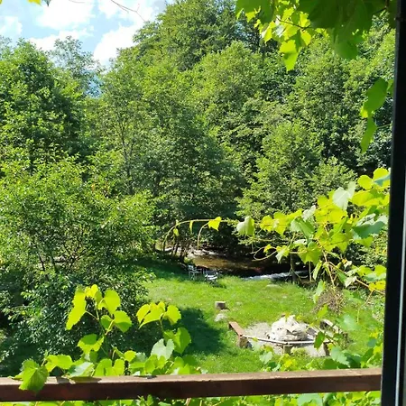 Villa Complex Adela Transfagarasan Cîrţişoara